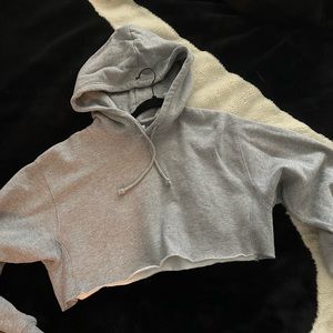 Aritzia Tna Cozy AF Fleece Crop Hoodie